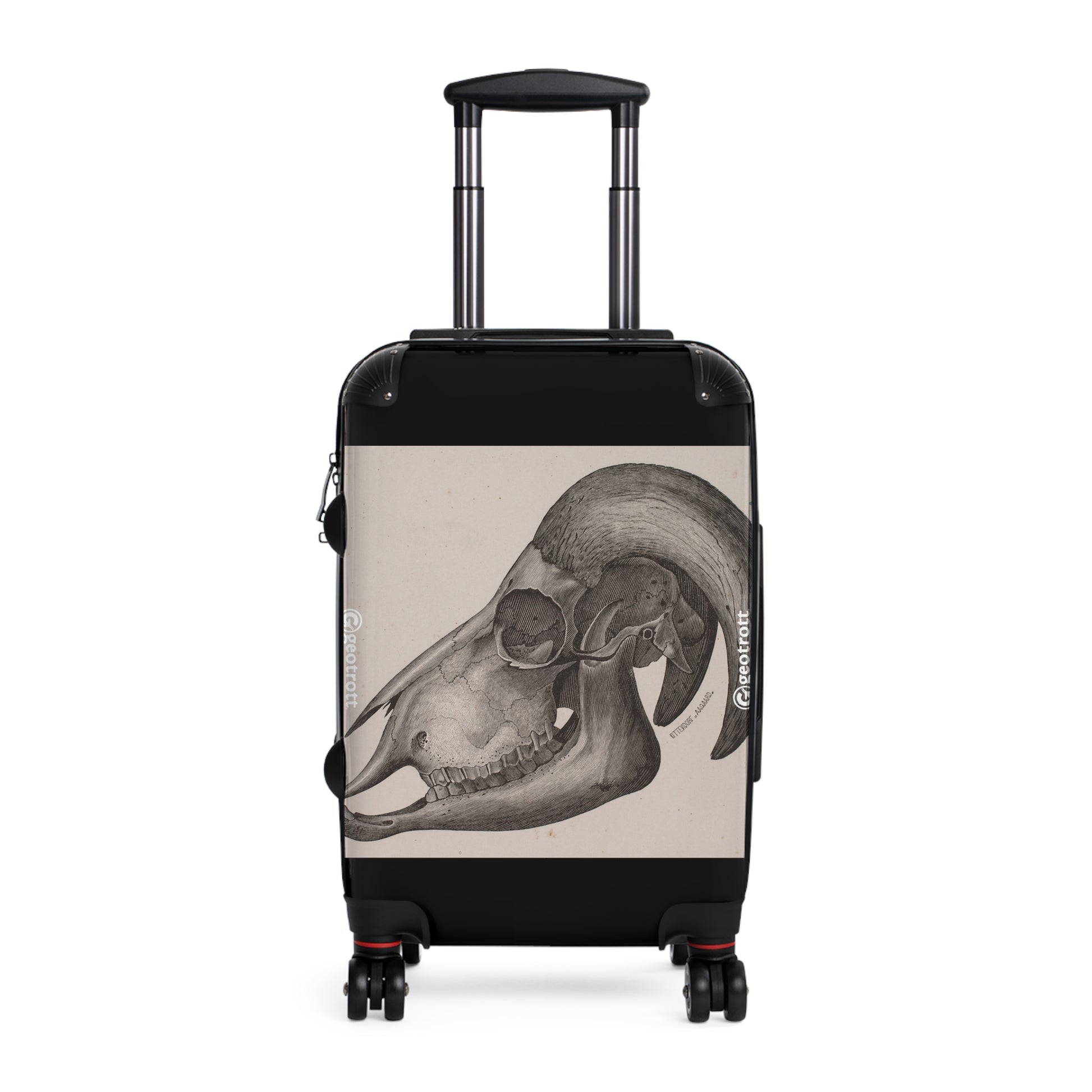 VINTAGE_ANIMALS_60