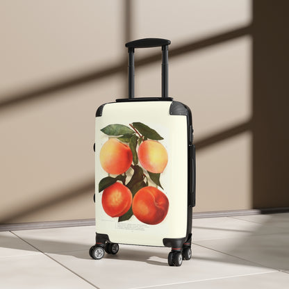 Getrott Peach Varieties Farm Collection Cabin Suitcase Inner Pockets Extended Storage Adjustable Telescopic Handle Inner Pockets Double wheeled Polycarbonate Hard-shell Built-in Lock