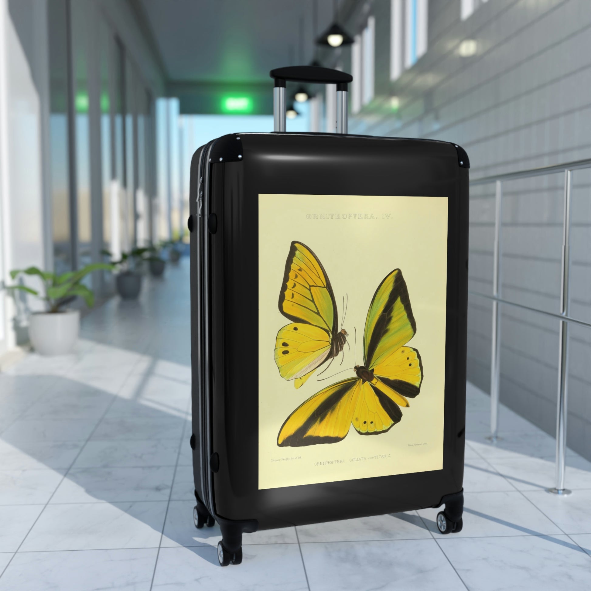 Getrott Yellow Butterfly Ornithoptera Goliath var Titan Black Cabin Suitcase Inner Pockets Extended Storage Adjustable Telescopic Handle Inner Pockets Double wheeled Polycarbonate Hard-shell Built-in Lock